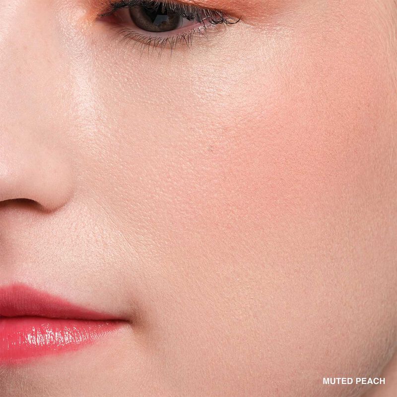 Bobbi Brown Pot Rogue Velvet Matte image number 42